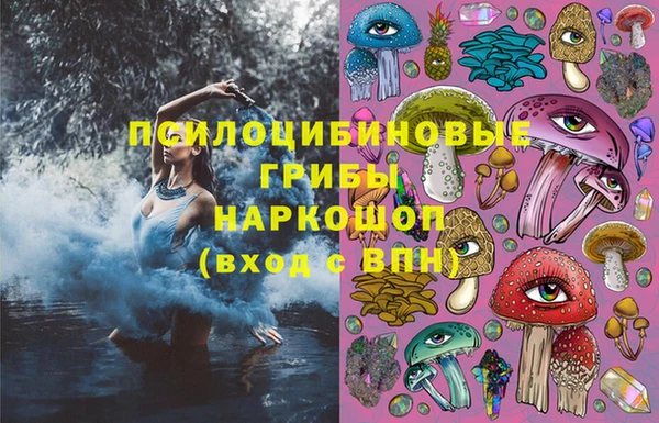 spice Армянск