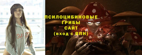 соль ск Аркадак