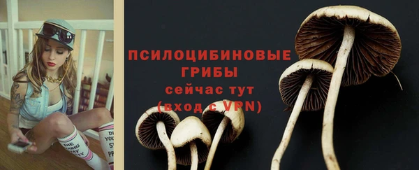 spice Армянск