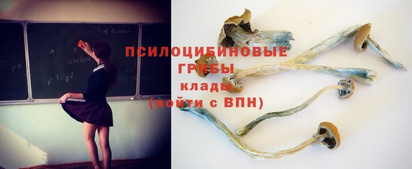 spice Армянск
