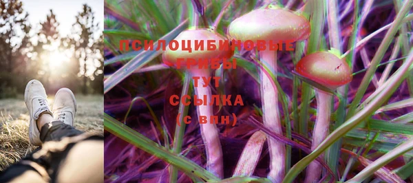 соль ск Аркадак